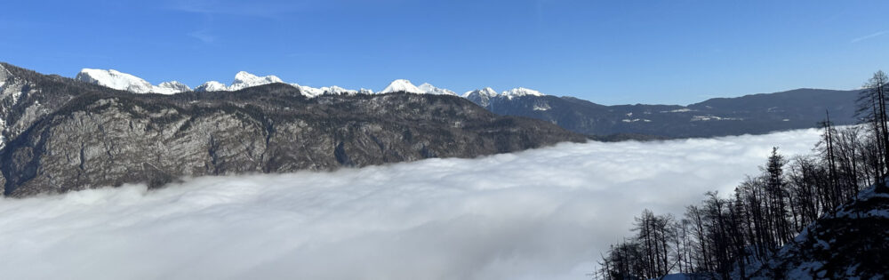 Apartma Tisa Bohinj