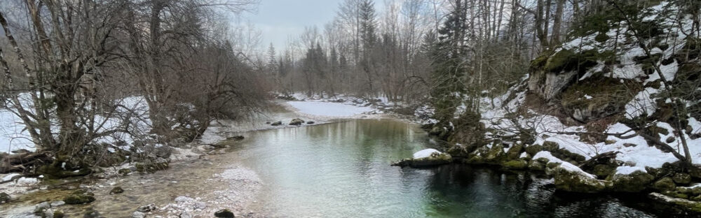 Apartma Tisa Bohinj